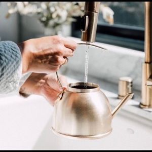 Rose & Fitzgerald Brushed Gold Kettle